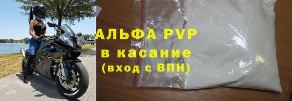 PSILOCYBIN Каменка