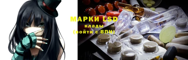 мдпв Каменногорск