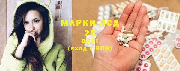 PSILOCYBIN Каменка