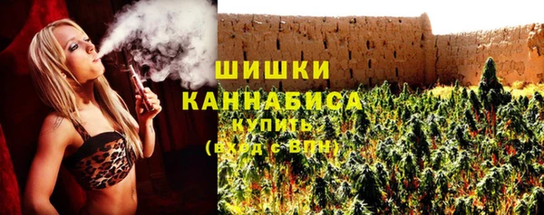 мдпв Каменногорск