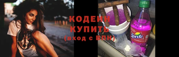 PSILOCYBIN Каменка