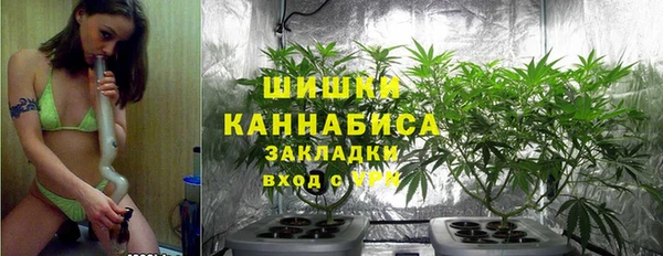 PSILOCYBIN Каменка