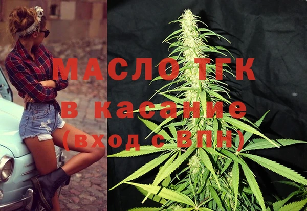 мдпв Каменногорск