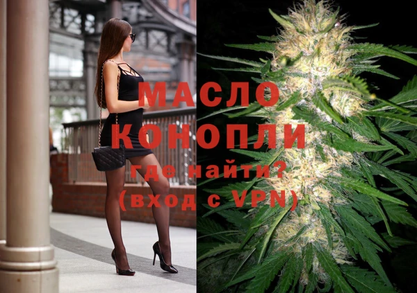 мдпв Каменногорск