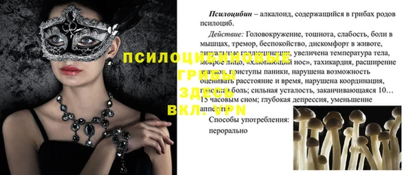 мдпв Каменногорск
