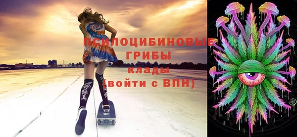 PSILOCYBIN Каменка