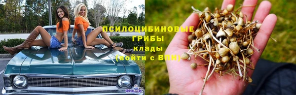 PSILOCYBIN Каменка