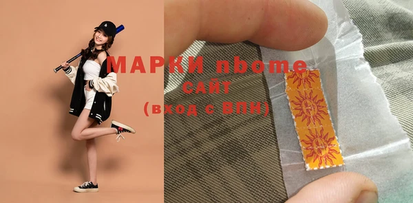 мдпв Каменногорск