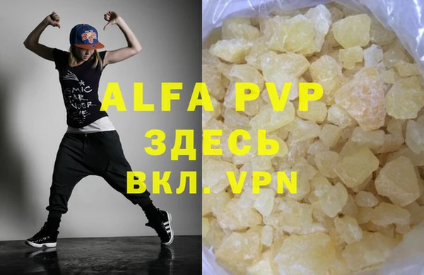 PSILOCYBIN Каменка