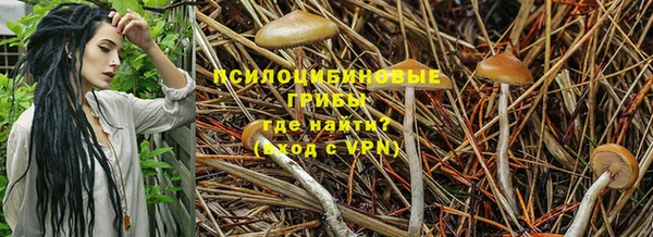 МДПВ Каменск-Шахтинский