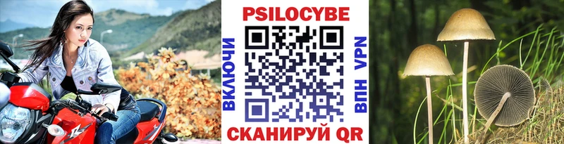 Псилоцибиновые грибы ЛСД  Купить закладки  Малоярославец 